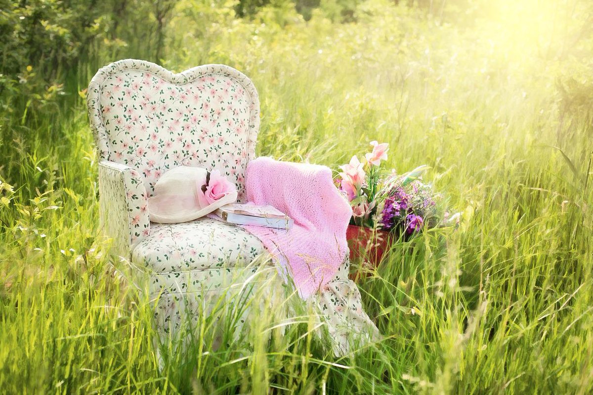 WordFromHome's tweet photo. #SummertimeReading Post on my blog today.
https://t.co/NGLKModL45

#simplepleasures
#itsabeautifullife
#readingandbooks

Image by Jill Wellington from Pixabay https://t.co/NbZA6B2Z8s