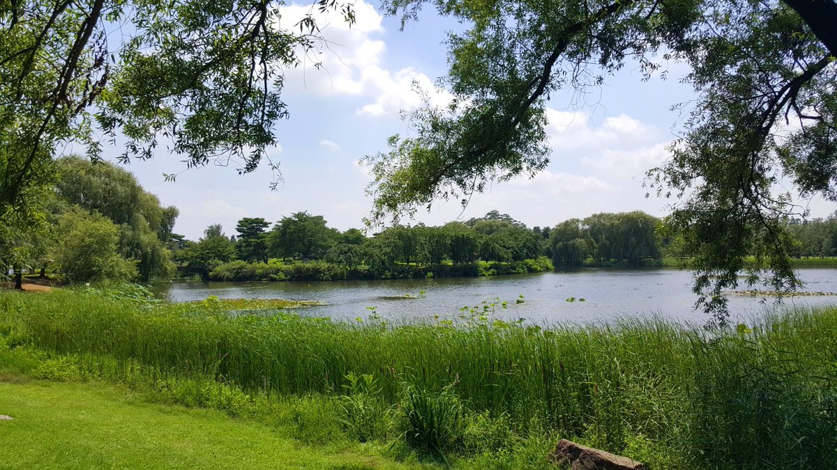 김경현 (@kimgyunghyun) on Twitter photo 