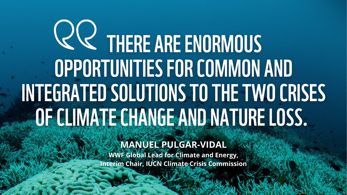 The #biodiversity and climate crises are linked 🌍
Instead of tackling them in silos, leaders must accelerate shared solutions that benefit people, nature and climate, writes WWF's <a href="/manupulgarvidal/">Manuel Pulgar Vidal</a> for <a href="/IUCN/">IUCN</a>: bit.ly/3Pr47Ck

#ClimateCrisis 

<a href="/WWF/">WWF</a> <a href="/climateWWF/">WWF Climate & Energy</a> <a href="/vikmica/">Vivek Kumar</a>