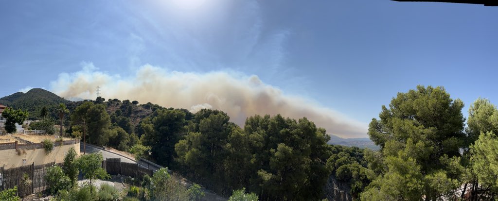 Sergio Zamora tweet media