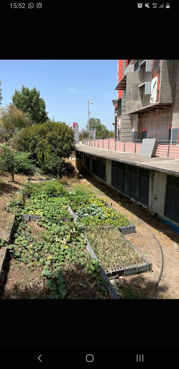 Oficial: Horta no estádio do <a href="/SLBenfica/">SL Benfica</a> :)