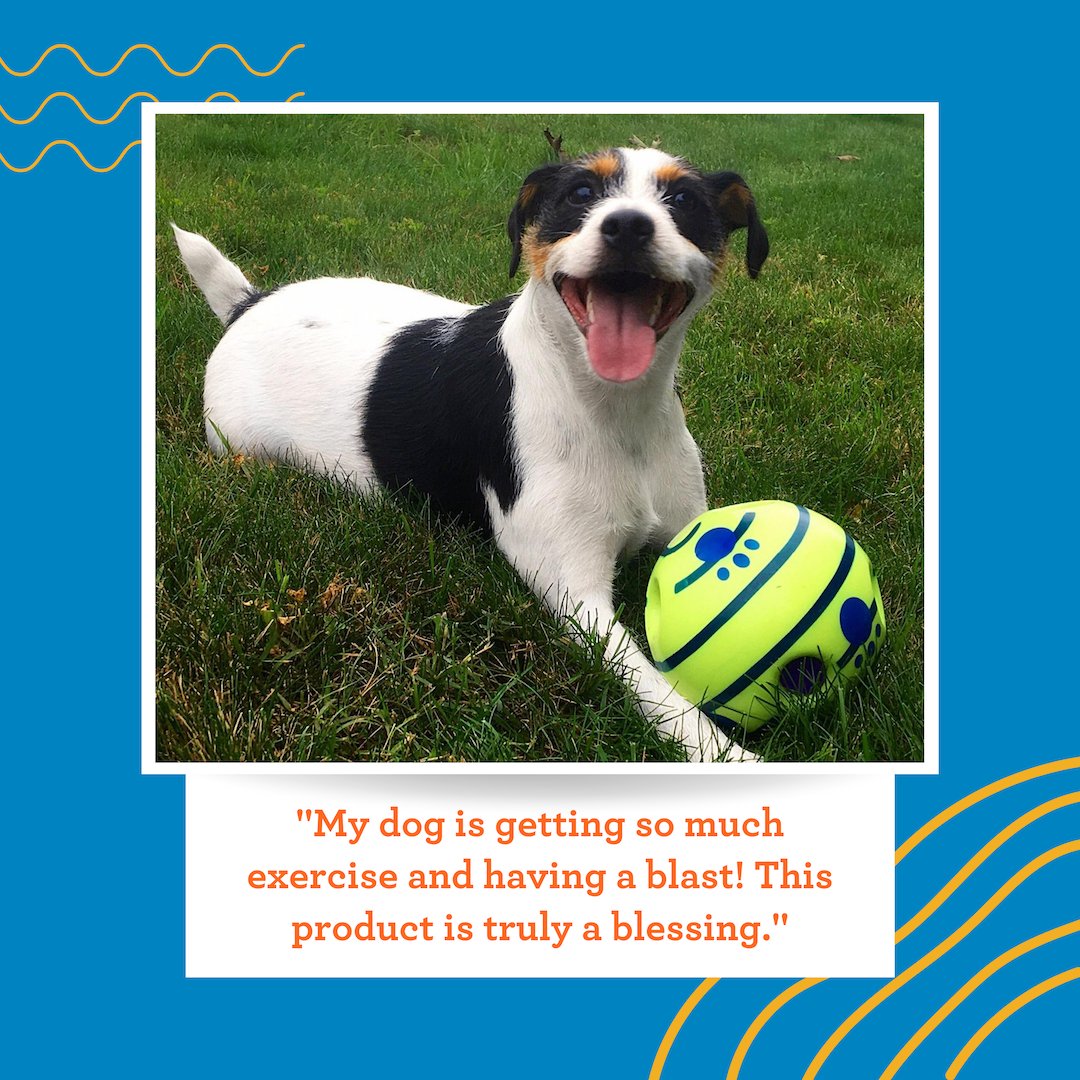 BestPets tweet picture