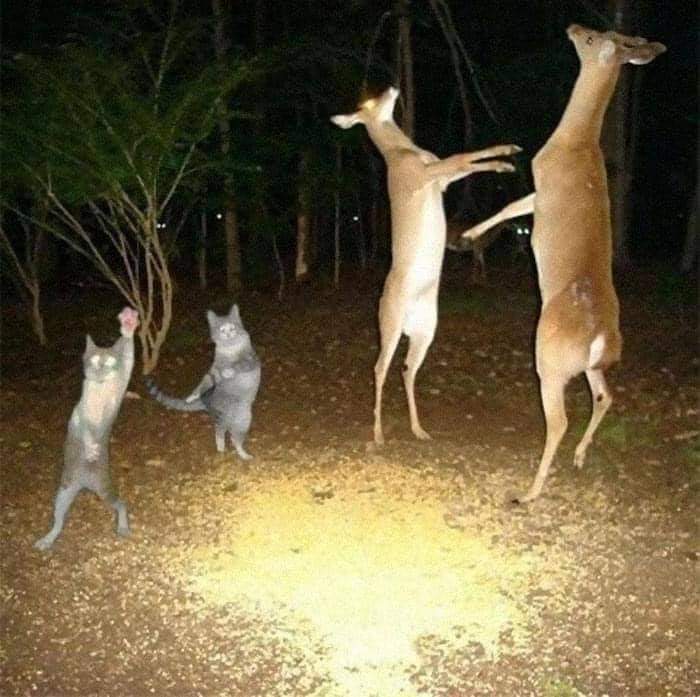 Photos That Cannot Be Explained 😁😁