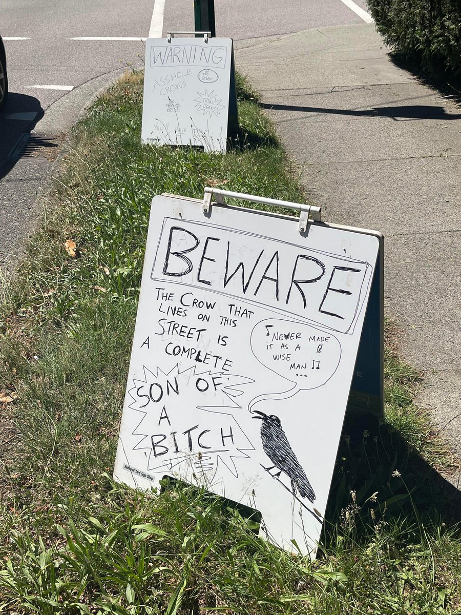 Manchester Crows tweet media