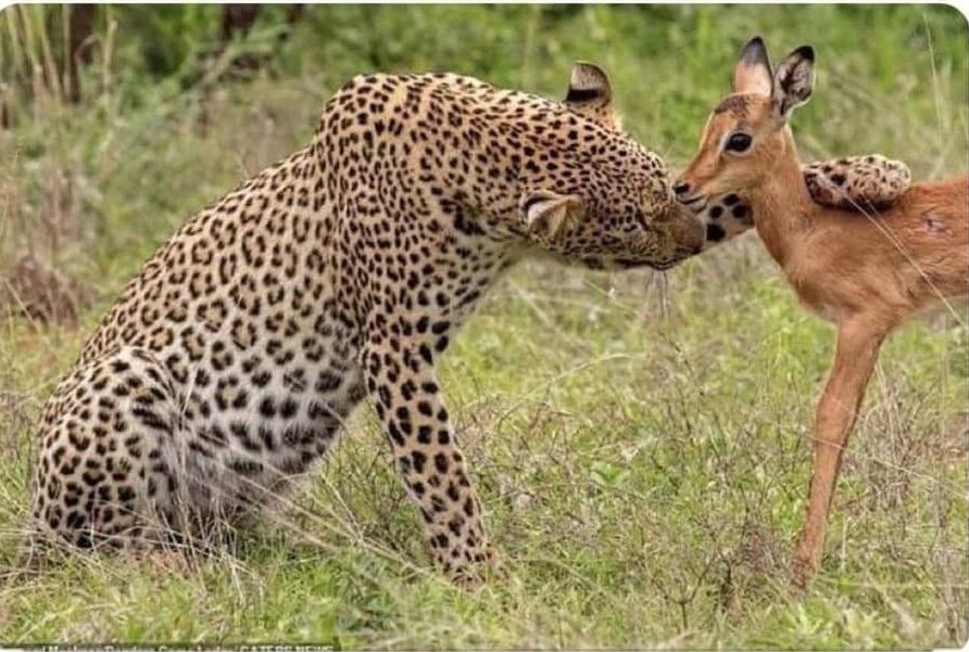 "Sendikaya ne gerek var, biz burada aile gibiyiz"