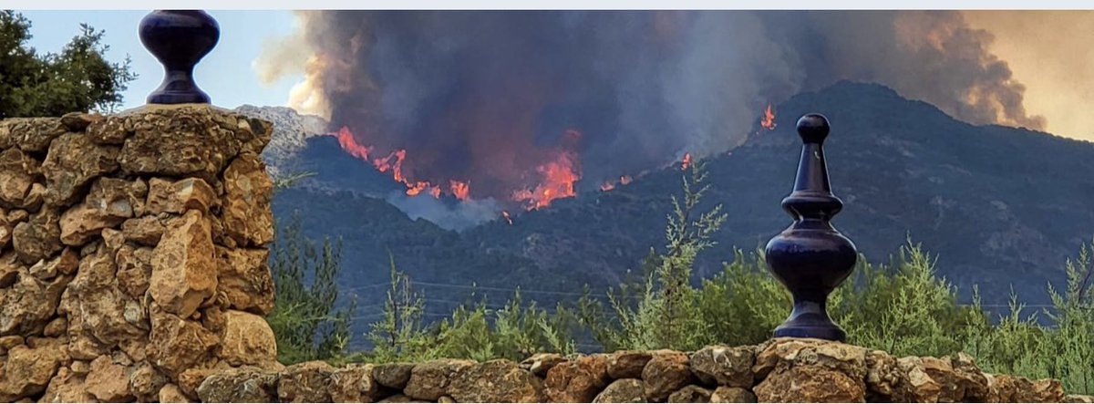 fuegosandalucia's tweet image. Tenemos espacio para perros y caballos si es necesario..la cala y golf de Mijas..643045897 SOLIDARIDAD EN ESTOS MOMENTOS POR EL #IFMijas COMPARTIR POR SÍ ALGUIEN LO NECESITA 🙏🏻