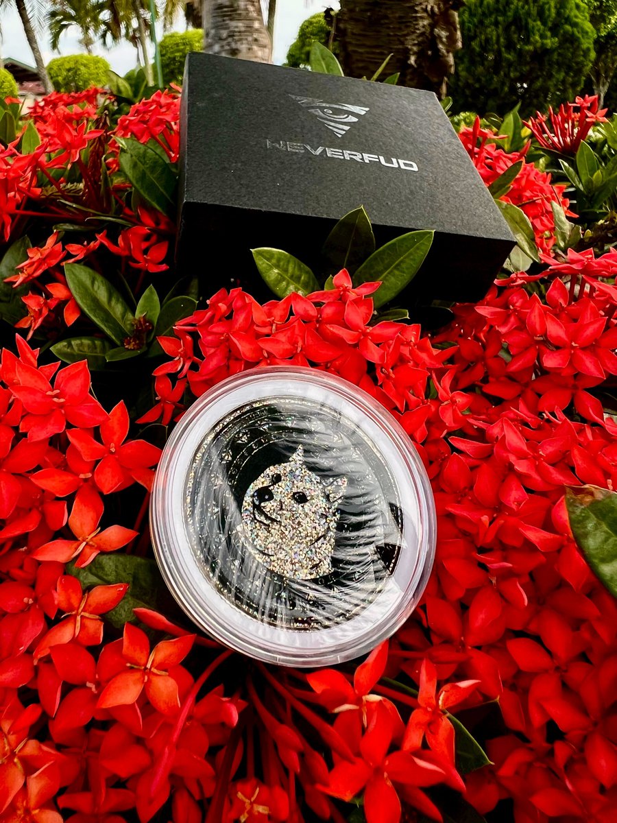 Dogecoin anyone? #dogecoin #DoOnlyGoodEveryday