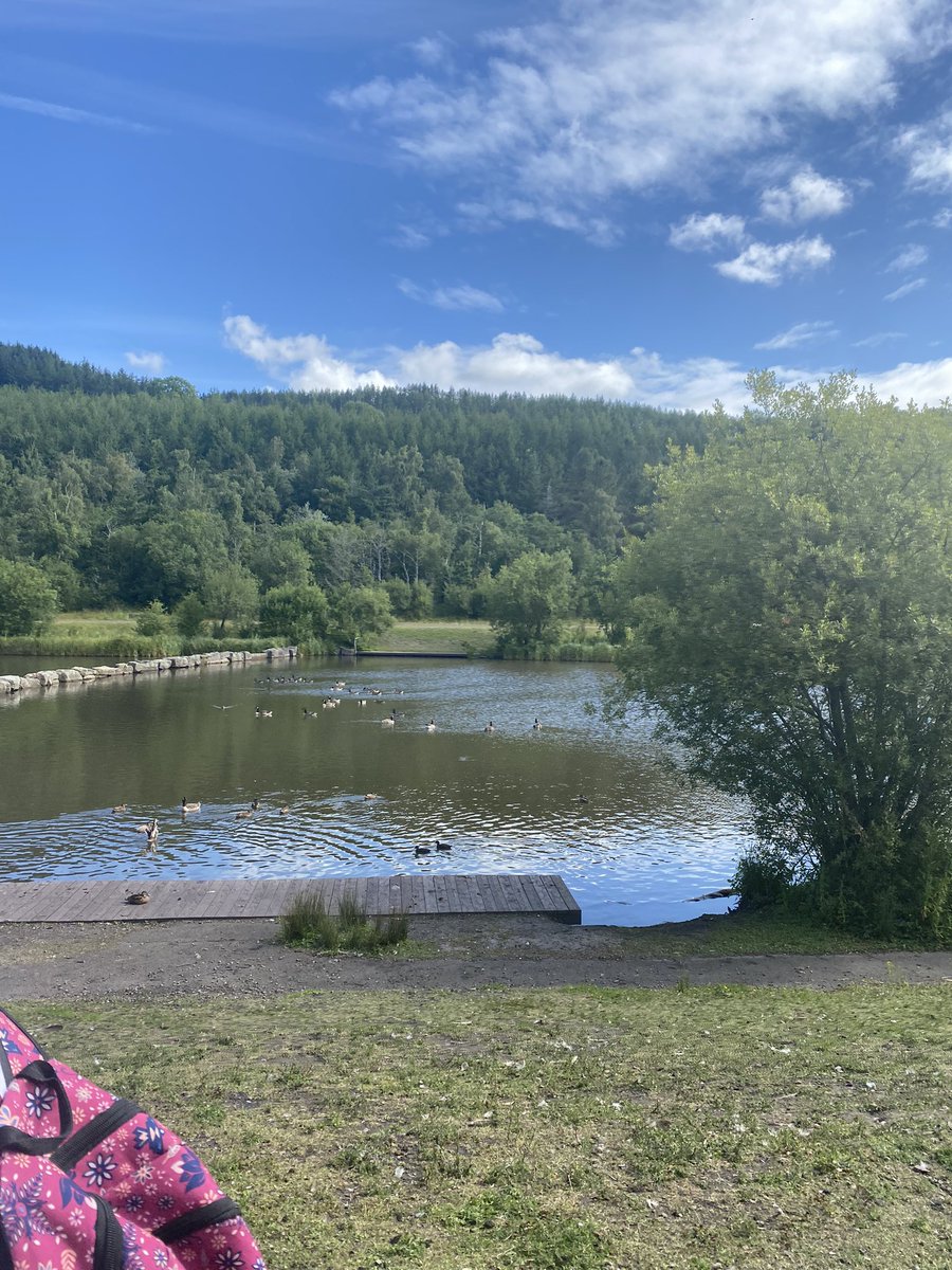 MissRTurner2's tweet photo. A lush day doing the annual Cwm Darren Park Walk with school! 🍦👣 @HCSHumanities @HeoldduCS https://t.co/V66wm0vscd