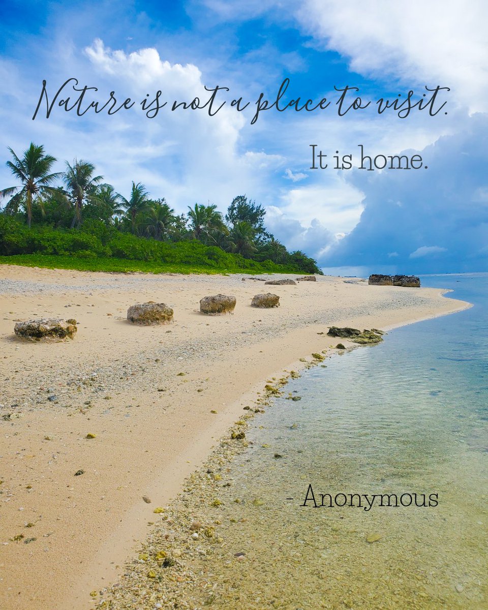 The sky is our roof and the grass is our floor.  I could not wish for a more perfect home. Hold tight to those places in nature and visit them often. Where do you go in nature that feels like home? 
#coastline #beachliving #oldpier #palmtrees #tropicalisland #Beach #stormclouds