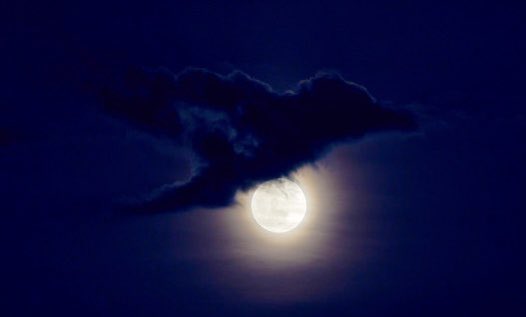 Simo15331212c's tweet image.