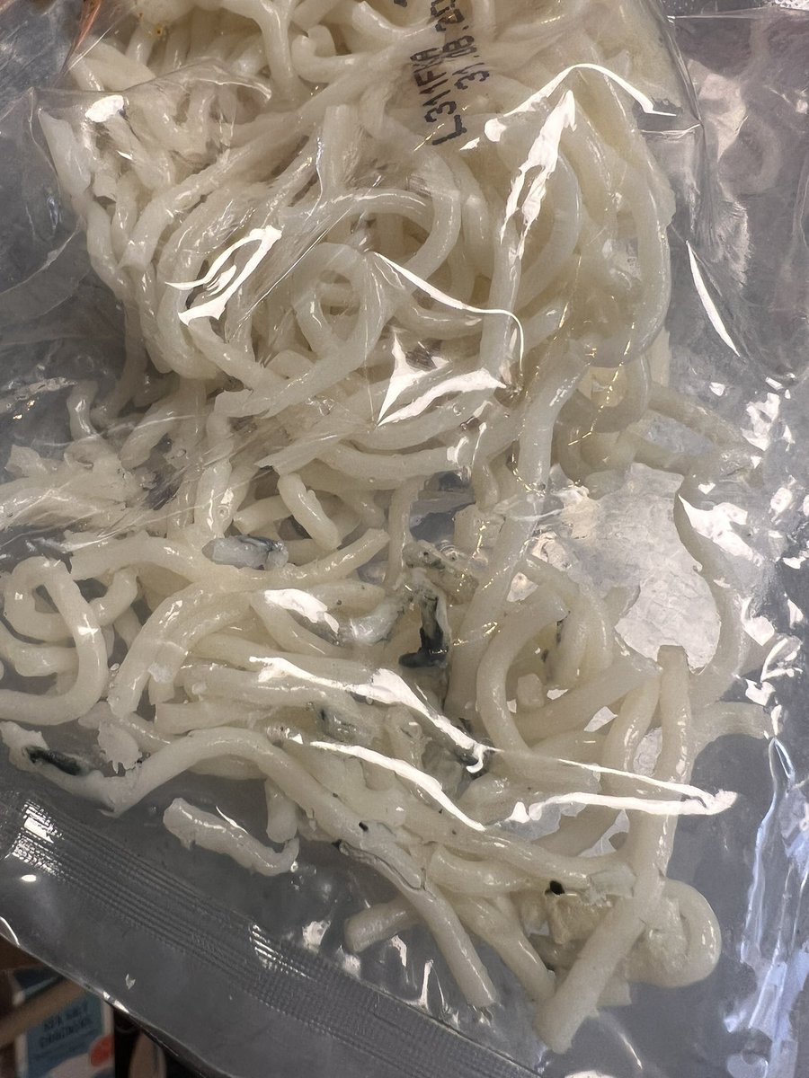 JodineW's tweet photo. Hey @LidlGB we had a dodgy pack of noodles today 😢 https://t.co/QriFQIJWOv