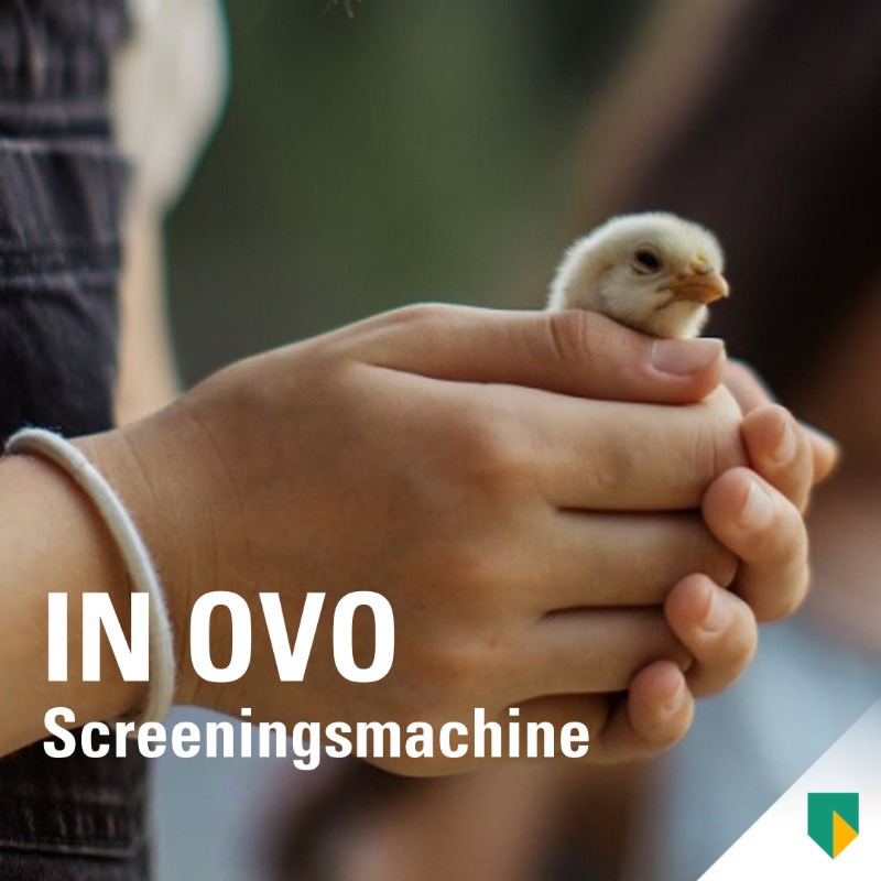 ABNAMRO's tweet photo. @in_ovo ontwikkelde een screeningsmachine waarmee pluimveehouders alleen de eieren met vrouwelijke kuikens uitbroeden. Goed voor het dierenwelzijn en duurzaamheid. De machine is erg duur in aanschaf, ABN AMRO helpt daarom bij de #financiering.