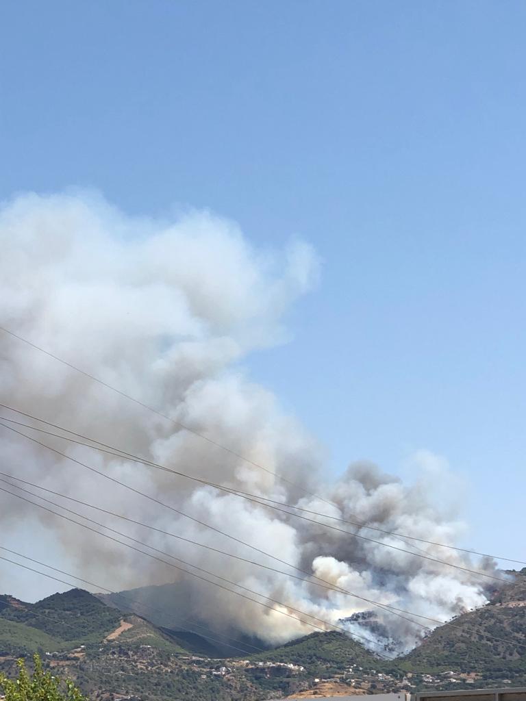 raquel 𓋼𓍊 tweet media