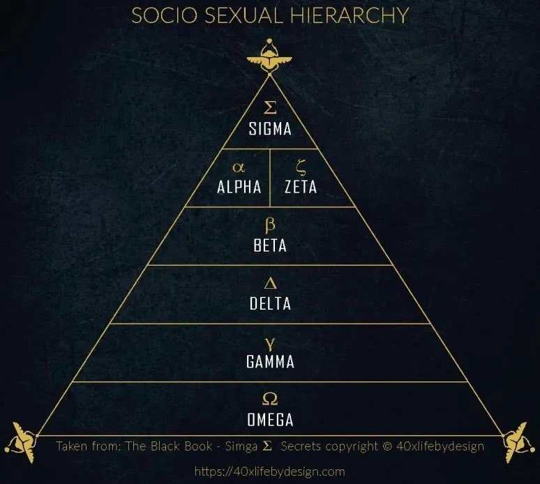 LDJ_SigmaMale's tweet photo. A Beta male (Definition) is someone who lacks masculine energy, or is mentally weak and often faces problems or confrontations passive aggressively. #urbandictionary
2. In the social hierarchy of life, Strive to be a Sigma and not a beta. #dbab #dontbeabeta #beaSIGMA https://t.co/zNPeFn24CR