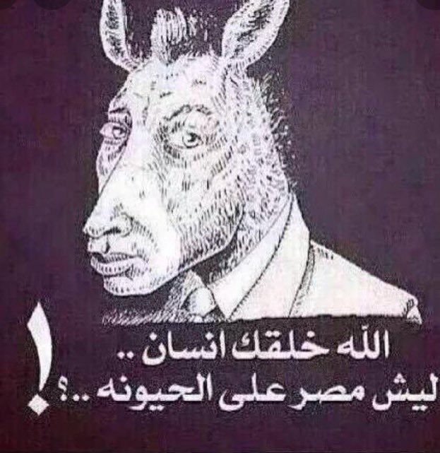 __lil0's tweet photo. @Al18k @0iv80 @_7ixrv @gorgeous4ew https://t.co/QVeN0BE8B9