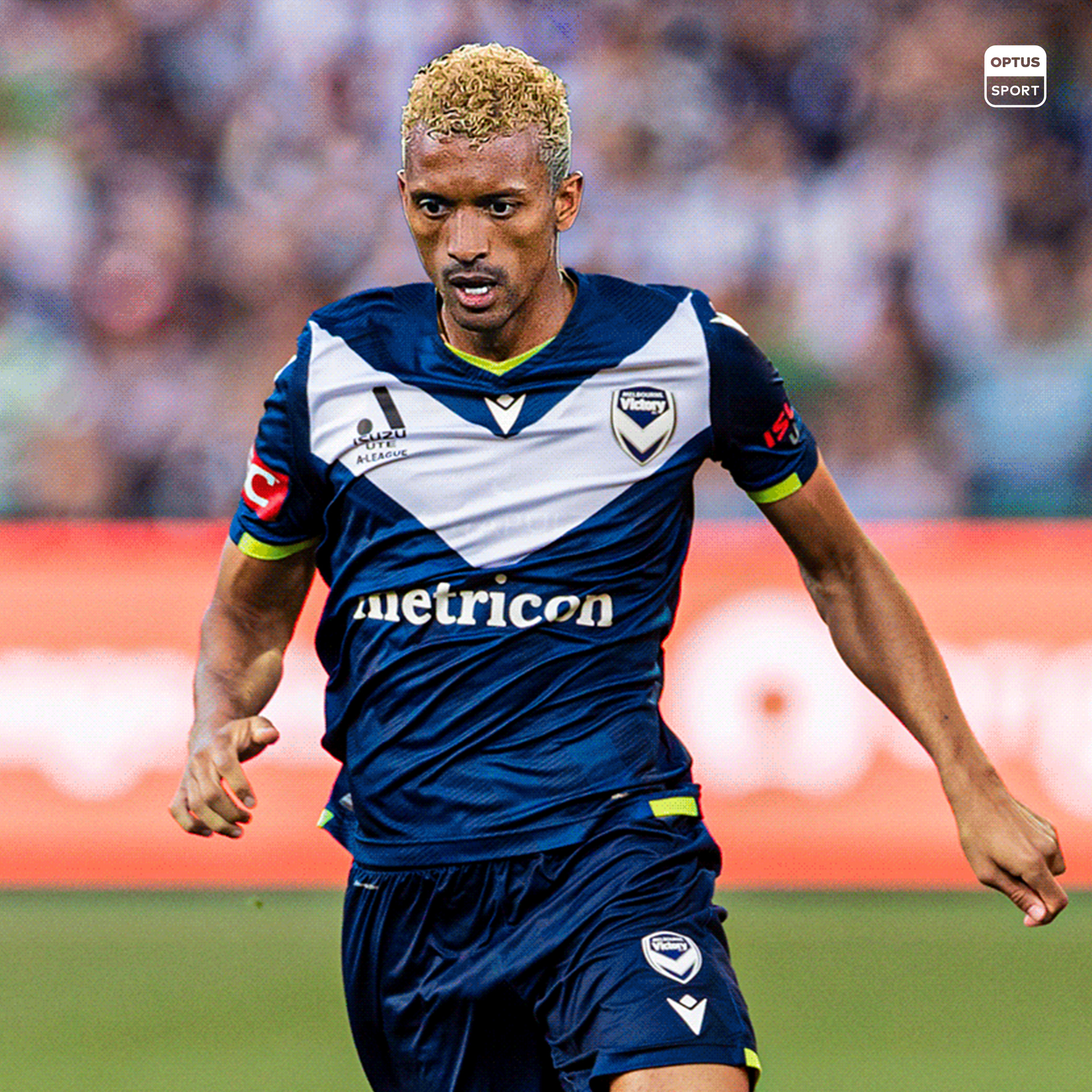 Melbourne online victory players