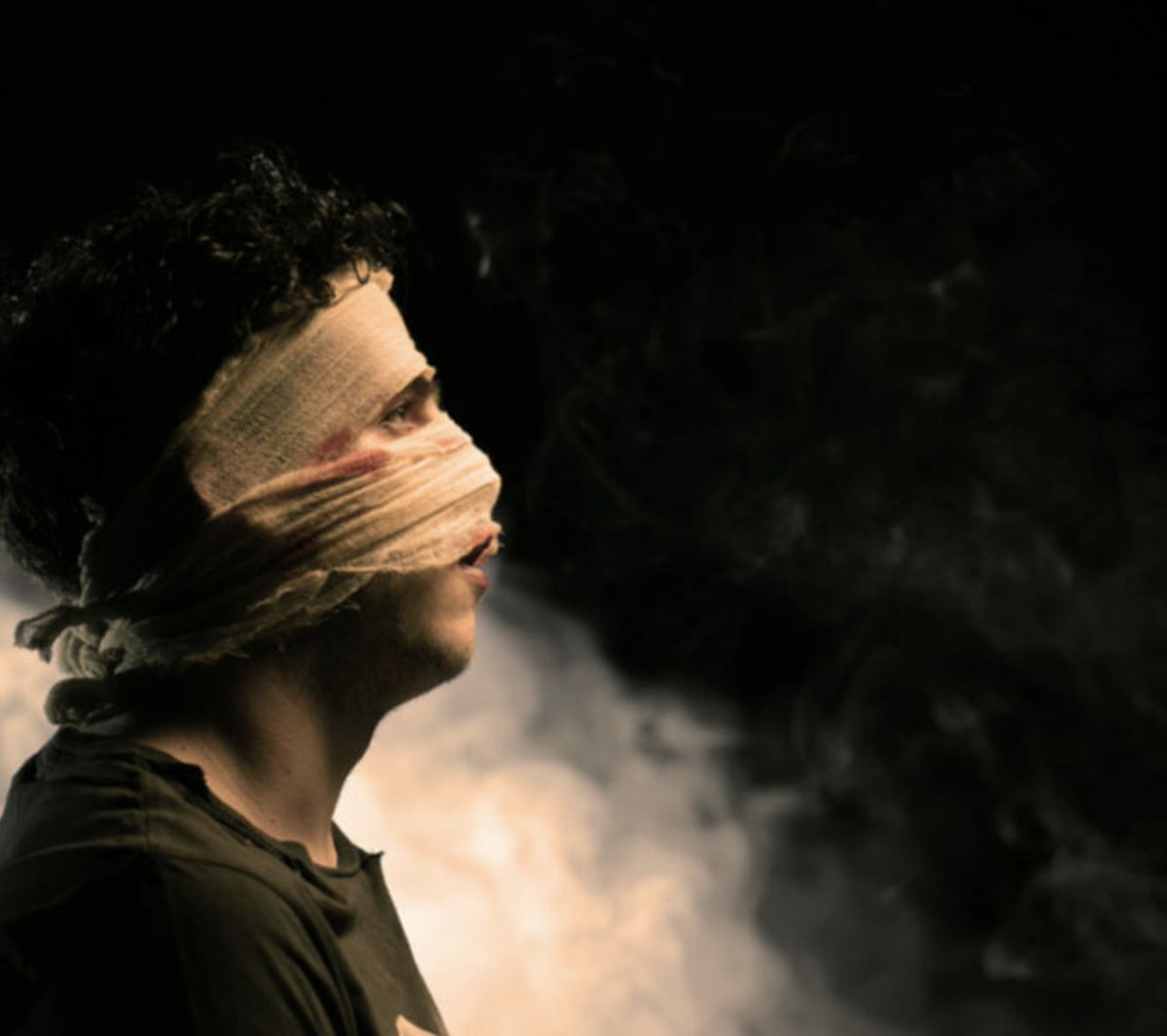 Did you go to see Muc Rí in Fr.Burke park lastnight? <a href="/FibinTeo/">Fíbín</a> &amp; <a href="/AnTaibhdhearc/">An Taibhdhearc</a> really know how to put on a show!

giaf.ie/festival/event…