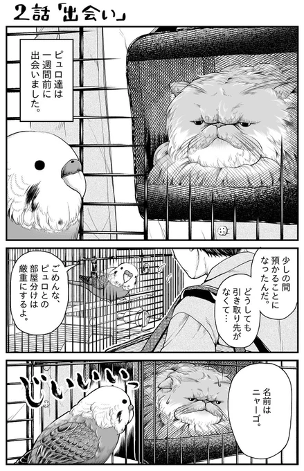 本日発売のビッグコミック8月増刊号に、『ニャーゴとピュロロロ』2・3話が掲載されております。
どうぞよろしくお願いいたします!✨ 