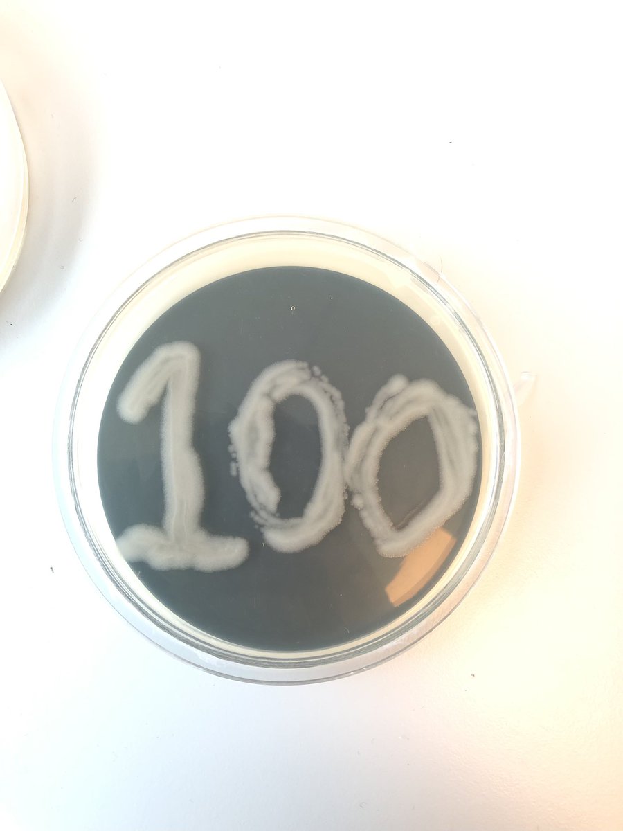 Ryan Weir tweet media