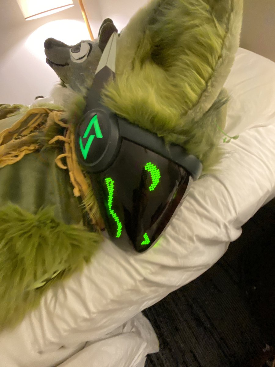 Ima snzzzz 

🌱#FursuitFriday