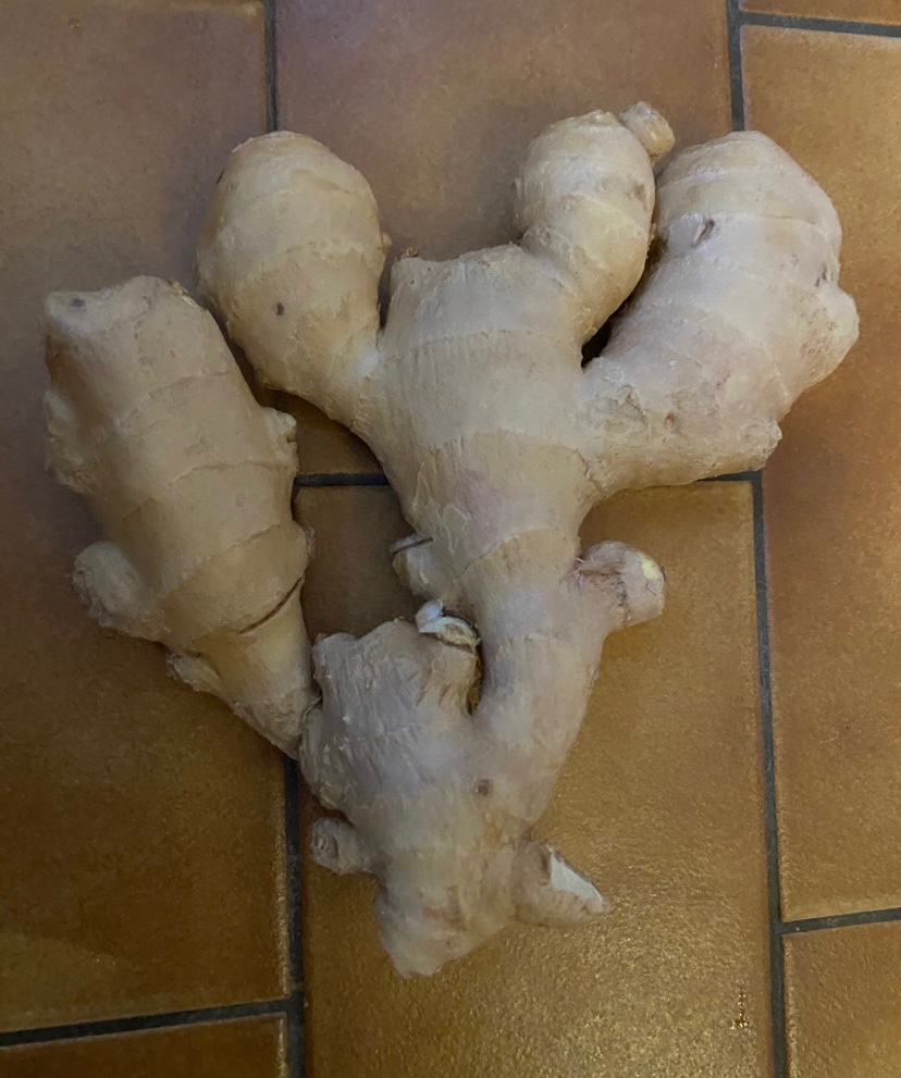 hering_david's tweet image. To commemorate Walter Benjamin’s birthday, here’s the time I bought a piece of ginger that looked like the angel of history