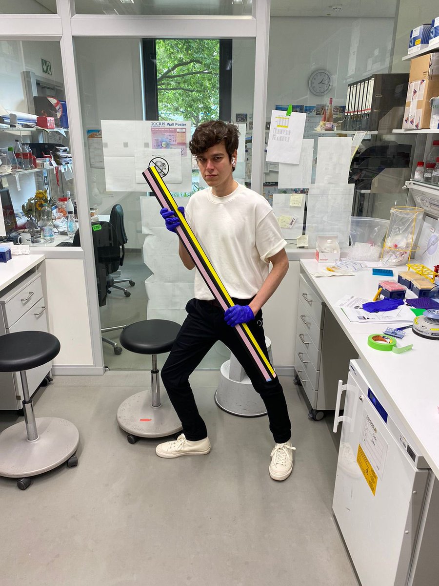 Gabriel M. C. Longo tweet media