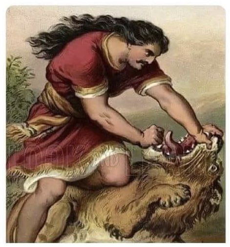 CollateralBitch's tweet photo. When I hear my dog chewing on something https://t.co/NjB5QFztjd