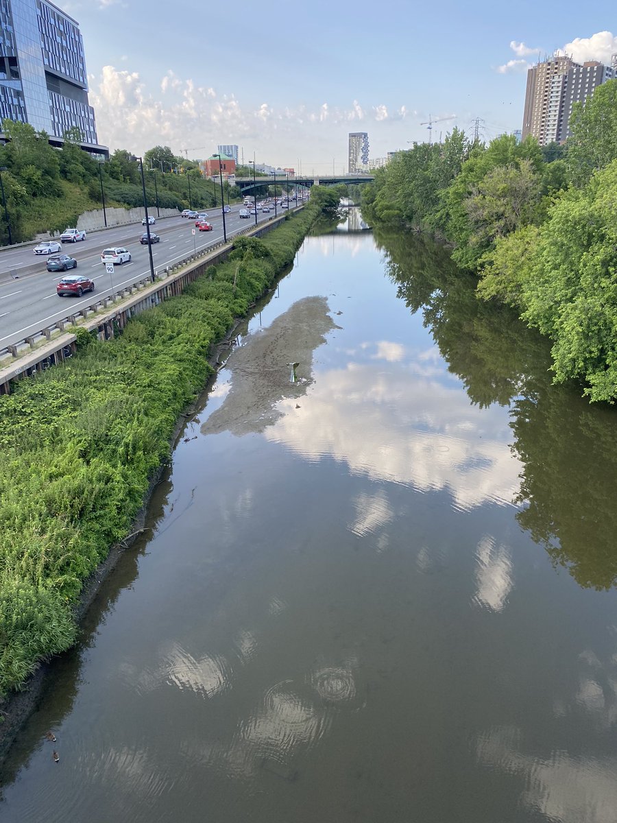 AnUrbanDad's tweet photo. @CTVToronto any idea what this 4 foot alter is that showed up in the middle of the Don River north of Gerrard? https://t.co/U0l5VsDWCu
