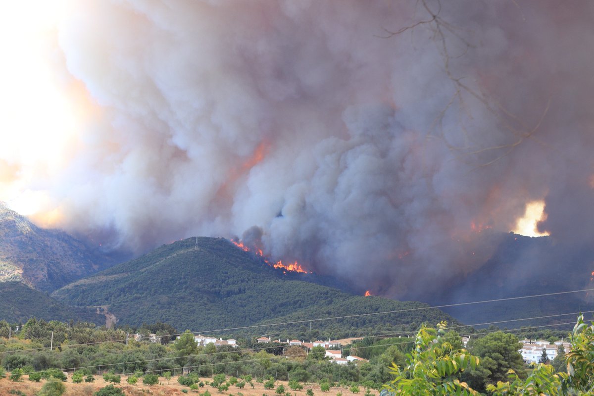Rtvalhaurin's tweet photo. 🔴🔥 El fuego ya se encuentra en término municipal de #AlhaurínelGrande. Se traslada el puesto de mando al Polideportivo Municipal de Alhaurín el Grande, desde su ubicación hasta ahora en Mijas. 

Foto: Ricardo Portella Valega #IFMijas https://t.co/WAqgVwGF5f