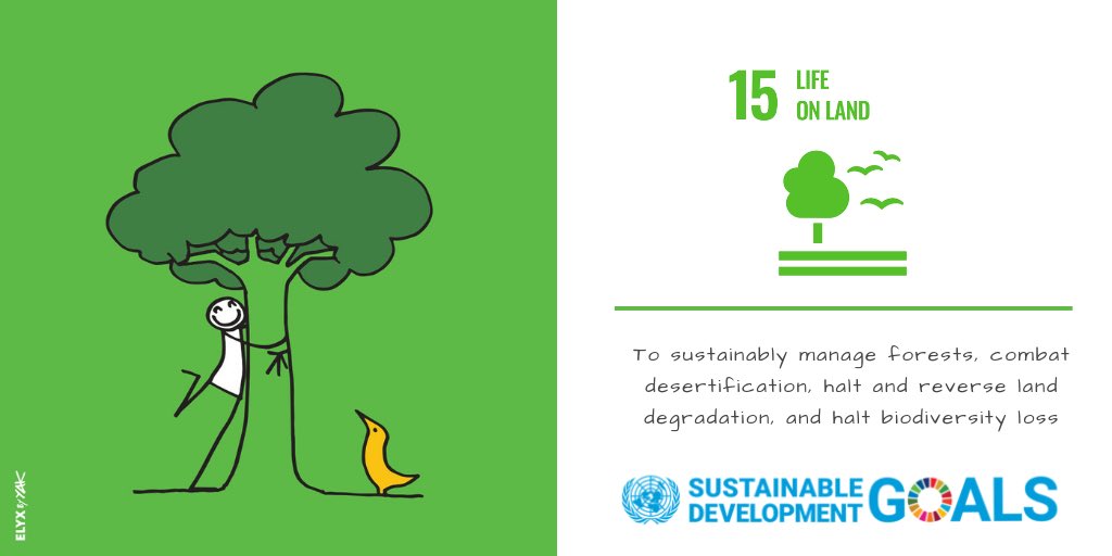 abeyieis's tweet image. Let's protect our environment for our own good and that of the generation after us.
 
#sdggoal15 #sdgawareness #action #beinformed #newAfrica #17dayssdgawareness #life #sdg15 #environement #men #women #key #solution #life #land
 
Image credit - UN