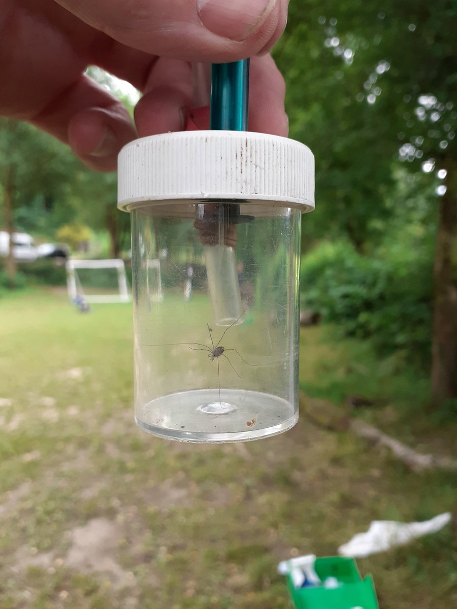 Y12 Biologists are learning a range of sampling techniques. <a href="/FSCRhydyCreuau/">FSC Rhyd-y-creuau</a>