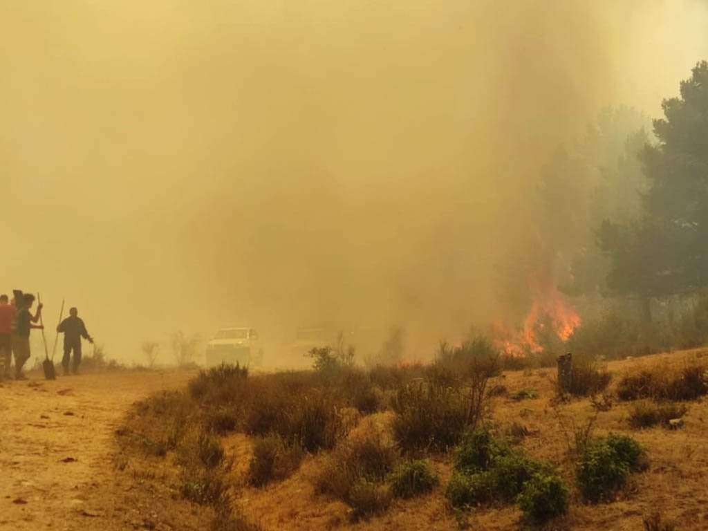 cserrano_hermo's tweet photo. Incendio en Navafría 

¡Desde el @PceSegovia exigimos la dimisión del consejero de fomento Juan Carlos Suárez-Quiñones!

Exigimos también el trato digno a los bomberos forestales y a los retenes de incendio. Que no tengan que pedir amparo como en Salamanca 

#QuiñonesDimision https://t.co/MEFq8bq2nT