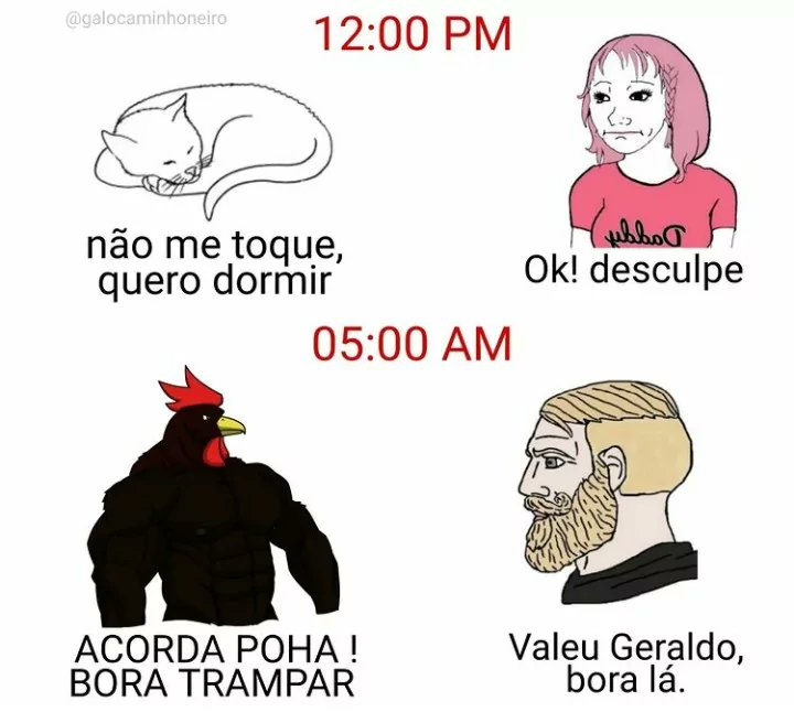 memes inúteis para destruir sua vida (@mvlxn) on Twitter photo 