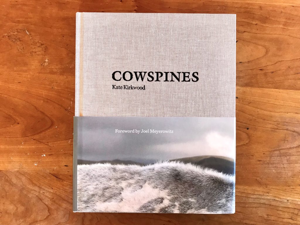 Collector Daily tweet media