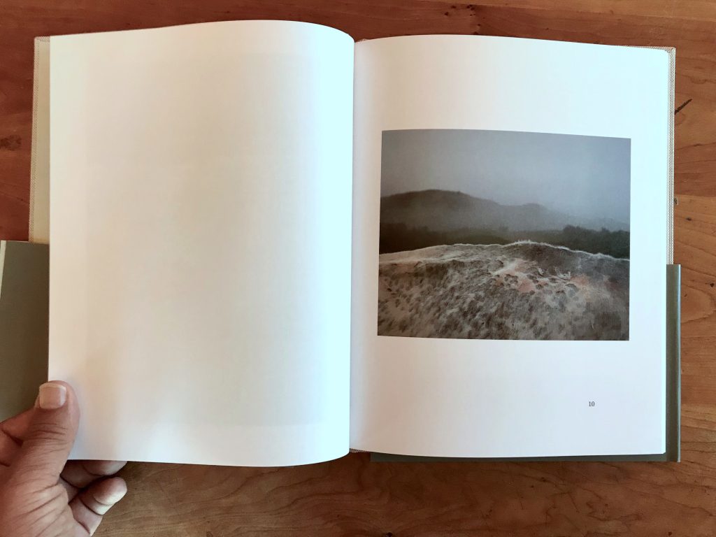 Collector Daily tweet media