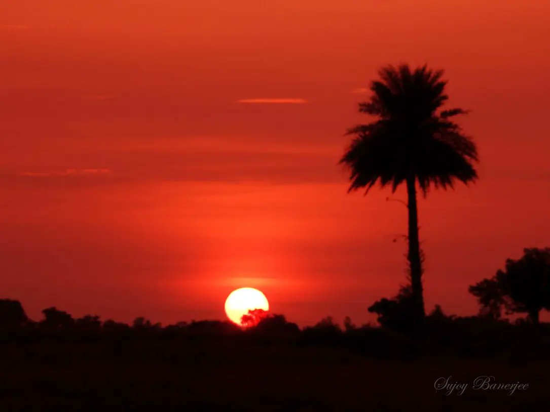 Sujoy Banerjee tweet media