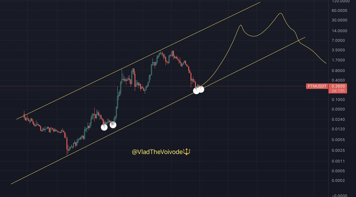 VladTheVoivode 🔱 tweet media