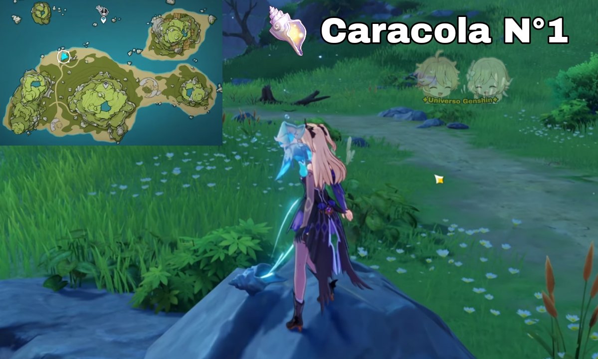 GenshinUniverse's tweet photo. 🐚✨¡Ubicación de las 14 Caracolas Ilusorias para la skin de Fischl!✨ 🐚 

🟢Durante el primer día del evento "Visiones Resonantes", podremos conseguir 14 Caracolas Ilusorias de un total de 20, siendo necesarias 16 para la skin de Fischl.

1/4-Sigue en el hilo👇

#GenshinImpact https://t.co/NJkskmzSYF
