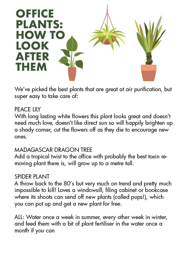As well as looking great and boosting our mood, plants are great natural air filters. This can reduce headaches, eye and nose irritation and even stress, helping to create a healthier, happier workplace.
Here's our fave plants for your workplace and advice for keeping them happy!