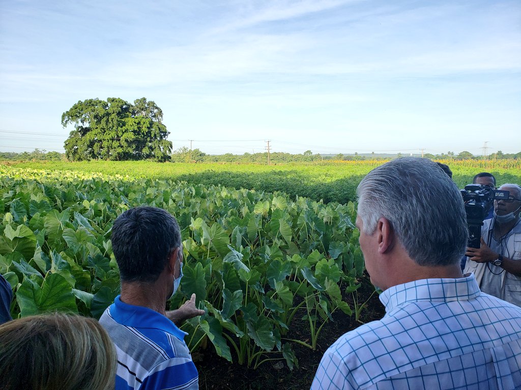 Foto: @PresidenciaCuba