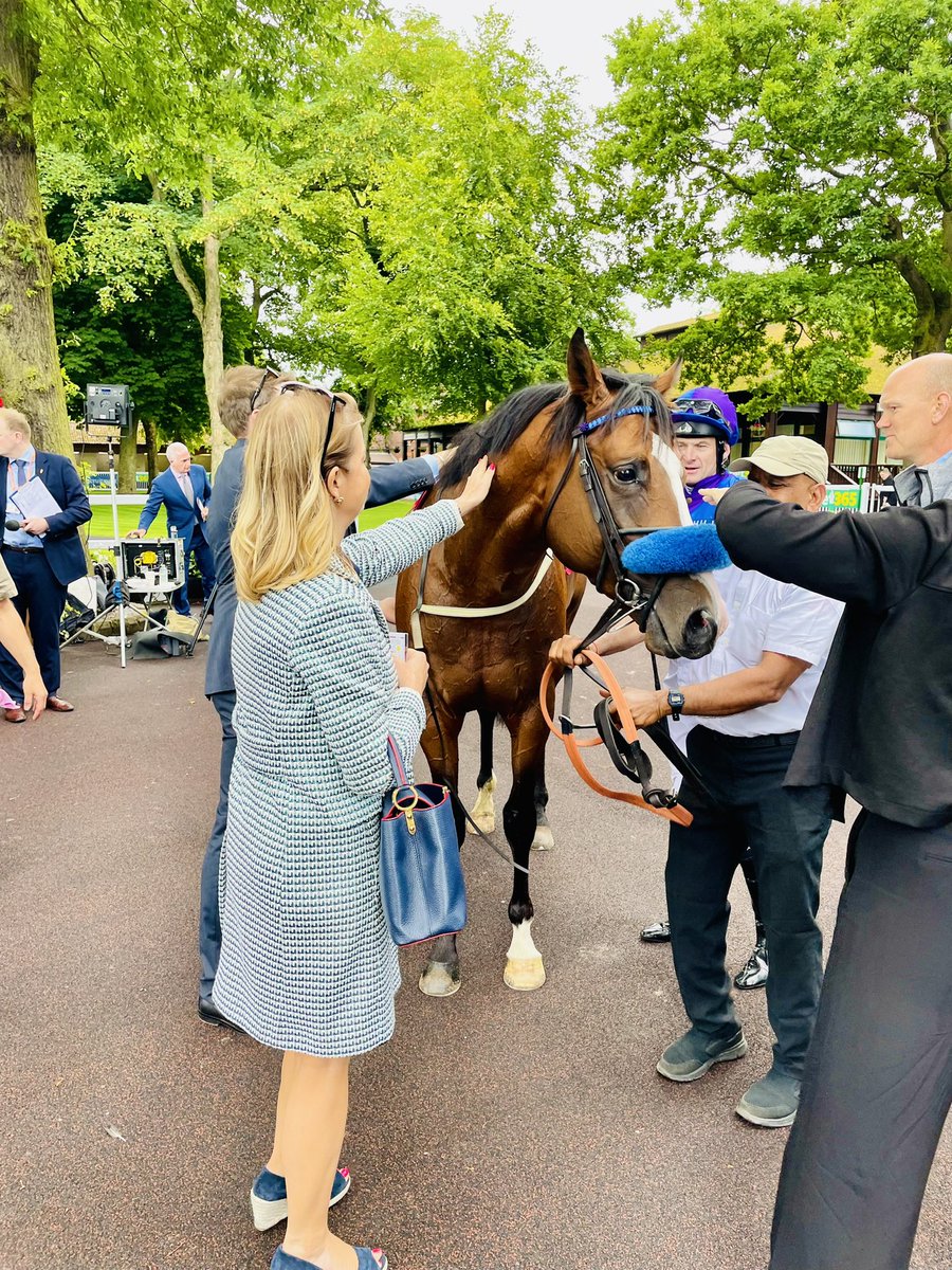 Monty_Bolt's tweet photo. Our dude #swayze … next adventure Glorious Goodwood on the Thursday… our first ever horse #royalascot #gloriousgoodwood #offerstobuy #handsoff #showcasing #colt https://t.co/QtmAFwuY4E