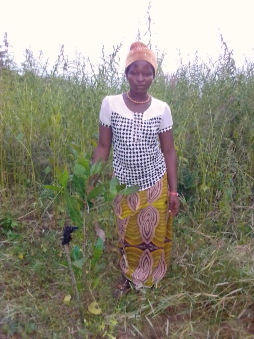 Invest Salone tweet media