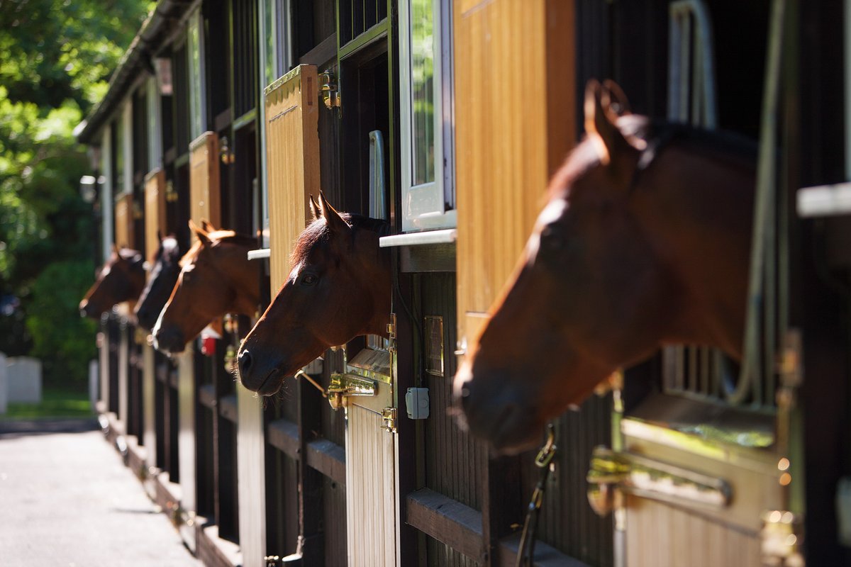 Racing Welfare tweet media