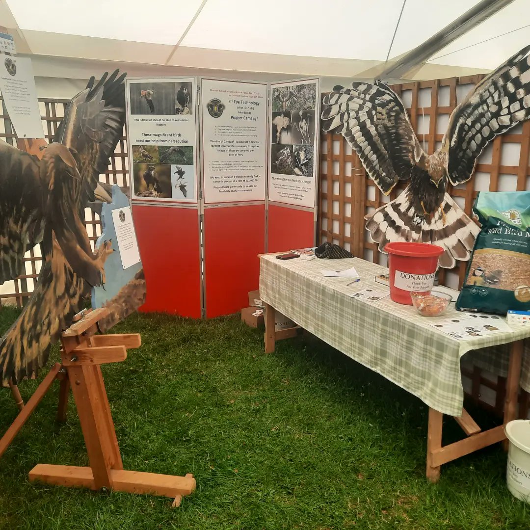 ShefEnvironment's tweet photo. Meet our Calluna, Sat 16th July at #GlobalBirdfair on the #ProjectCamTag stand in the Swallow Marquee. She'd love to have her photo taken with you for a donation to the fund that's creating new technology to end illegal killing of birds of prey.
#Calluna #HenHarrier #BirdsOfPrey https://t.co/5ed04PKaOx