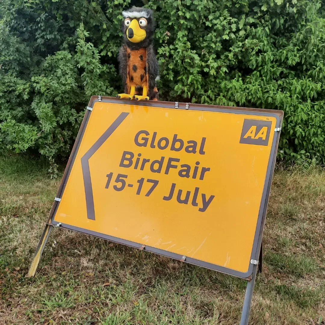 ShefEnvironment's tweet photo. Meet our Calluna, Sat 16th July at #GlobalBirdfair on the #ProjectCamTag stand in the Swallow Marquee. She'd love to have her photo taken with you for a donation to the fund that's creating new technology to end illegal killing of birds of prey.
#Calluna #HenHarrier #BirdsOfPrey https://t.co/5ed04PKaOx