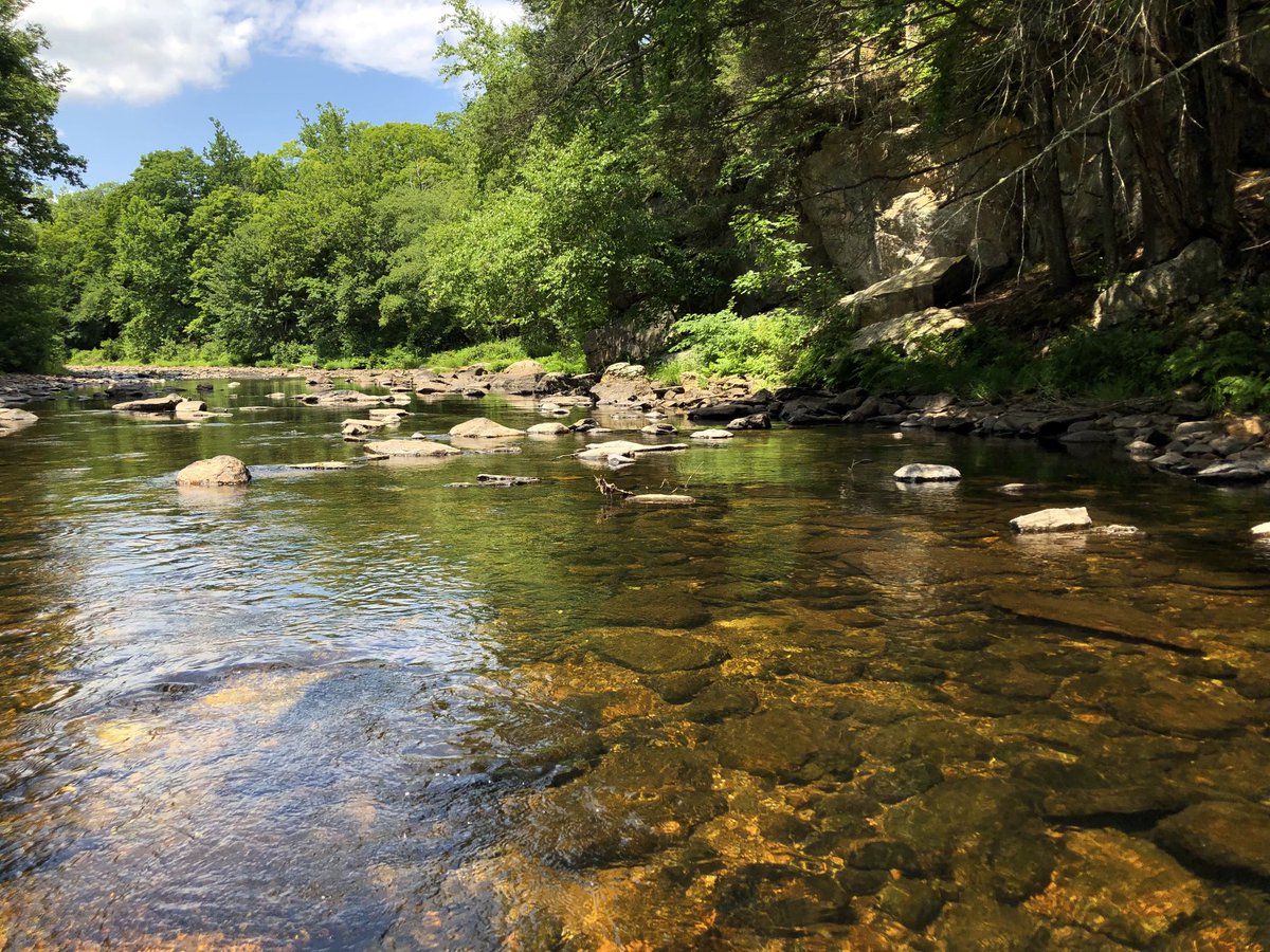 petermarteka's tweet photo. Low flowing Salmon River. #EastHampton #CTDrought https://t.co/LTC9sK8jZI