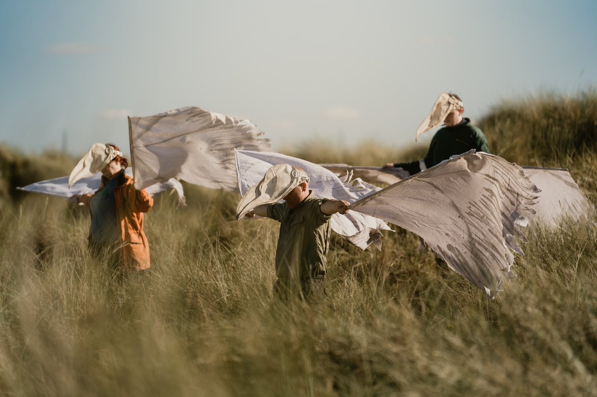 tangledfeet's tweet photo. We are loving these gorgeous shots of Murmurations from Hartlepool’s Waterfront Festival’s Jamie Haslam ROAM photography #outdoorarts #ACEsupported https://t.co/QKlFWjojqR