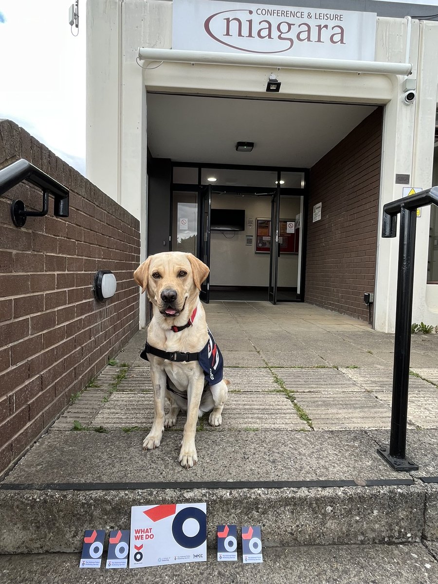 Today I’m at Child Matters training supporting colleagues from Police, Fire, NHS and other services #ChildMatters <a href="/syptweet/">South Yorkshire Police</a> <a href="/OscarKiloNine/">OscarKilo9</a> <a href="/OscarKiloUK/">Oscar Kilo</a>  #syp