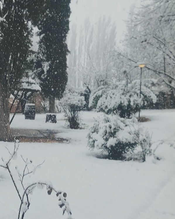 #Snow Frio? vinos con 15+ de alc, los tenemos!

Pedinos nuestro whatsapp por DM!

#vinos #wines #winemaking #winemaker #winery #bodega #Vendimia #harvest #barricas #barrel #estiba #añejamiento #winepositive #compra #shop #online #fraccionar #hacedor #botellas #corchos #cork #vino