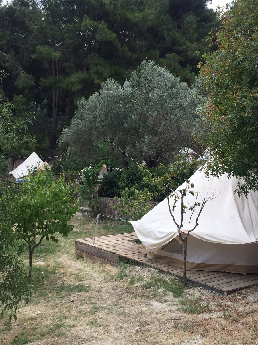 Zihnini sustur, nefesini fark et ve olanları izle.. Kampta bir sabah.. #Çeşmeköy 🏕️